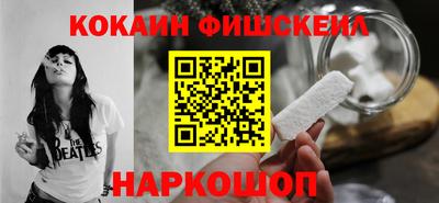 крисы Можга