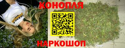 крисы Можга