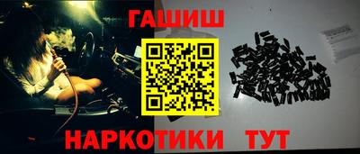 крисы Можга