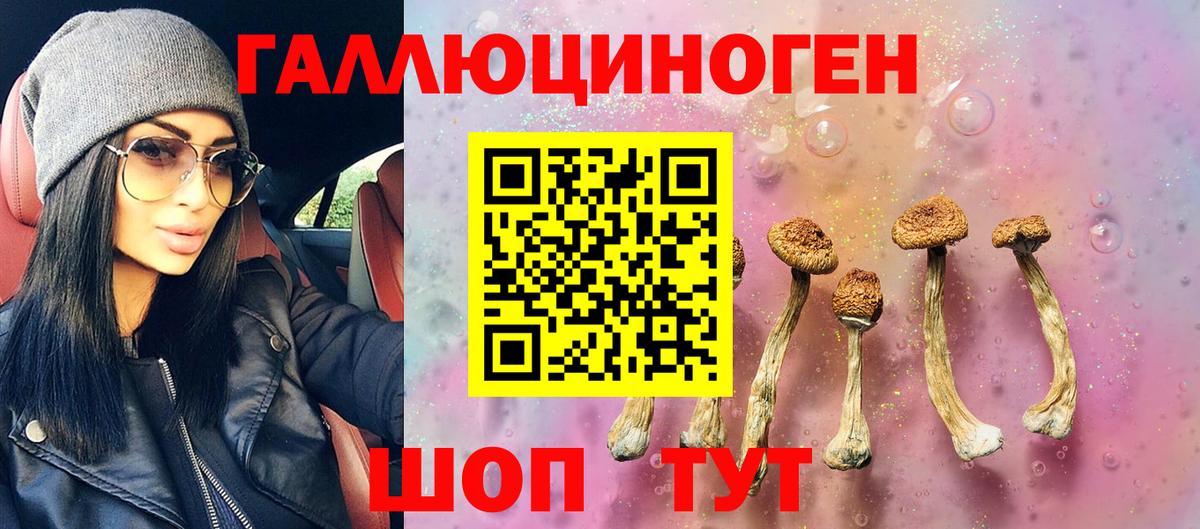 Псилоцибиновые грибы Cubensis  наркошоп  Петрозаводск  Вход с VPN 