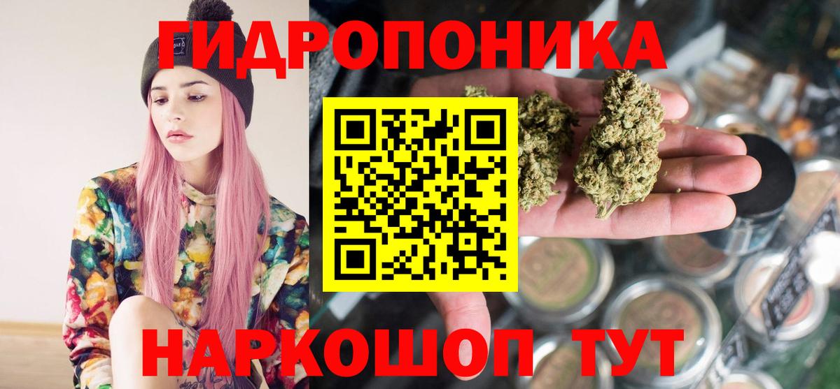 Конопля Amnesia  Вход с VPN  Шишки марихуана OG Kush  Петрозаводск  Бошки Шишки планчик 